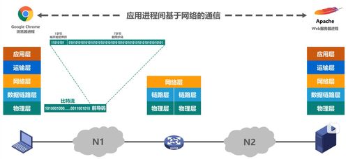 計算機(jī)網(wǎng)絡(luò)體系結(jié)構(gòu)與計算機(jī)數(shù)據(jù)服務(wù)